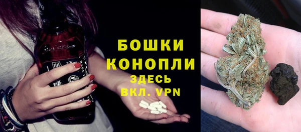 сатива Нягань