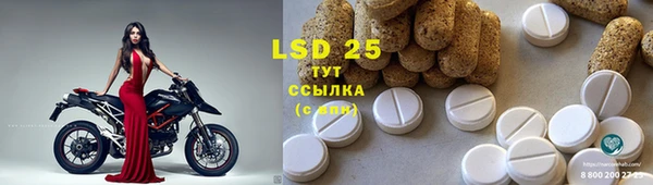 сатива Нягань