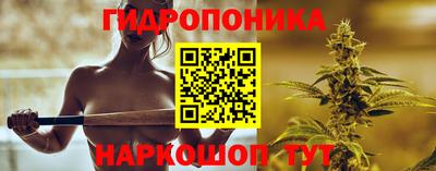 прущие грибы Гусев