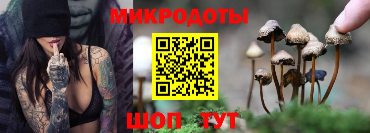 Галлюциногенные грибы мухоморы  Красный Сулин  Галлюциногенные грибы Psilocybe 